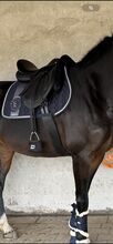 Vielseitigkeitssattel von JC Saddlery NEU 17,5 mit Zubehör JC Saddlery  Vries Diamant 