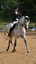 Eydis, the Welsh Pony with Heart, Style & a Big Personality
