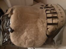 Lambskin Pad 