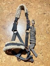 Felix Bühler Halfter mit Strick Pony Cob Felix Bühler 