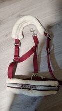 Fellhalfter (Pink/Rot)