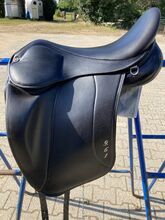 Icelandic Saddle 