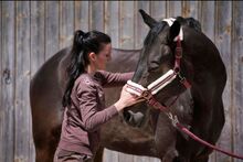 Physiotherapie für Pferde, Pferdephysio