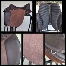Freeform Preciosa Amy Dressage 17" braun Freeform  Preciosa Amy Dressage