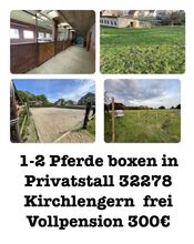 Freie Pferde Box