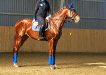 FREIZEIT PARTNER