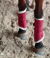 Riderschoice Gamaschen Größe XL riderschoice