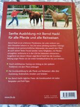 Basistraning Für Pferde Bernd Hackel