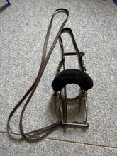 Hackmore mit Zaum