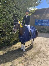 Pferd/ Pony zur Turniervorstellung gesucht