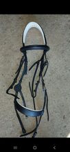Horse bridle for sale
