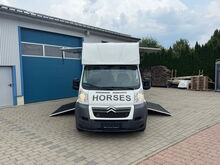 Pferdetransporter Citroen  2 Seitenrampen 180 PS Viehtransporter Citroen Jumper Dickenherr 2 Ride 