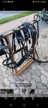 Zweispänner Geschirr Haflinger