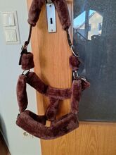 Halfter Cozy Braun Waldhausen  Cozy