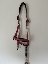 Halfter von Eskadron Eskadron Classic Sports
