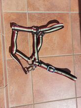 Halfter Gr. Full