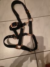 Halfter schwarz-rose/gold Grösse Pony