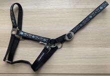 Halfter in Schwarz/Silber/Blau, Gr. FULL, Schneepferd NEI Schneepferd