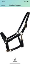 Headcollar and lead rein Pony/small cob