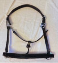 Halfter, BR, Leder, leicht glänzend BR