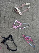 Halfter neuwertig Krämer