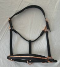 Halfter, Felix Bühler, sehr gut erhalten Felix Bühler