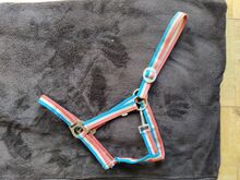 Halfter Full Holstein