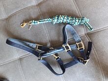 Halfter Pony