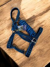 Halfter Set HarrysHorse