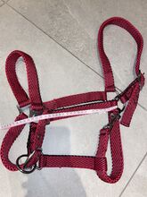 Halfter Full Warmblut oder Kaltblut