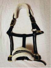 Halfter, gut erhalten Showmaster