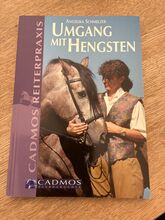 Umgang mit Hengsten Schmelzer Cadmos 