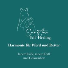 Harmonie für Pferd und Reiter