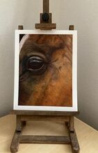 Hele York Art HelenYorkArt Horse prints, for sale