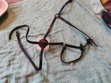 Brand new black full size Grackle noseband