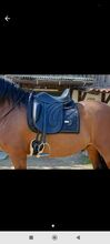 Hidalgo Roma Lederbaum Sattel 17,5 Zoll Hidalgo
