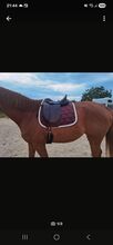 Hintermeyer Dressursattel anatomic Hintermeyer  Anatomic Dressage