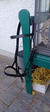 Spanische Trense schwarz Cob