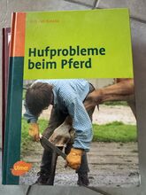 Hufprobleme beim Pferd