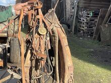 Pferdezubehör zu verkaufen
