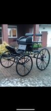 Horse - drawn carriages XXX Spider 170kg
