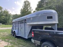 Horse trailer painting