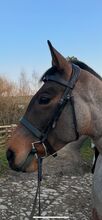 Hunter Comfort Bridle