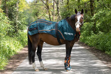 Bemer Horse Set mieten