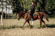 Show more items from Strong Together Horsetraining UG, Verena + Janina