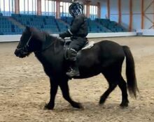 Herzbube ... mit freundlichem Wesen und ruhigem Temperament