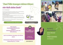 Reitpädagogik Einheiten