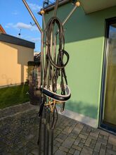 Kandare von Kiefer mit Gebissen Kiefer