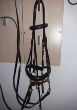 Kandarenzaum Dressurkandare inkl. Zügel  WB Sprenger  KK ultra aurigan 