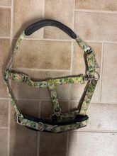 Kappzaum Pony Felix Bühler